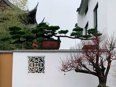 -龙华寺