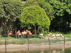 -西安秦岭野生动物园