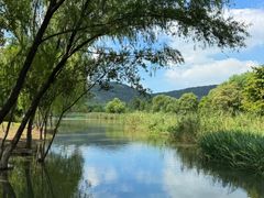 -长广溪湿地公园