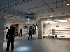 -EFL巴西柔术·综合格斗·泰拳·少儿体能训练(虹桥德必馆)