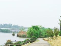 -白鹭湾湿地公园