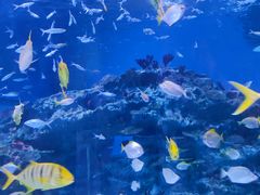 -海合安成都极地海洋公园