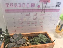 -浙大妇院协作武林母婴护理中心