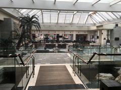 -和园景逸大酒店朗月汤泉
