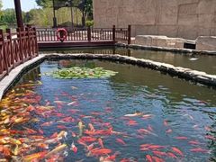 -董永七仙女文化园