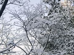 -天目湖涵田度假村