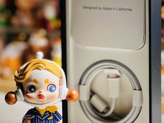 -Apple零售店(成都太古里店)