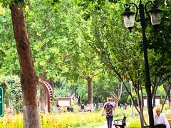 -岳阳道小学(大理道校区)