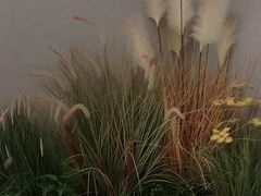 -必胜客(太白路店)