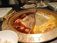 -熊喵来了火锅(四平万达第56分店)