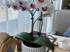 -悦融·京鲁菜·露台花园(安定门店)
