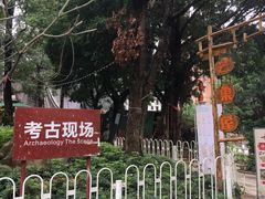 -黄埔古港