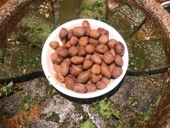 -农厨好味·温泉鹅·农家菜