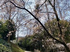 -窦圌山风景区