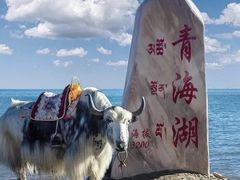 -青海湖二郎剑景区