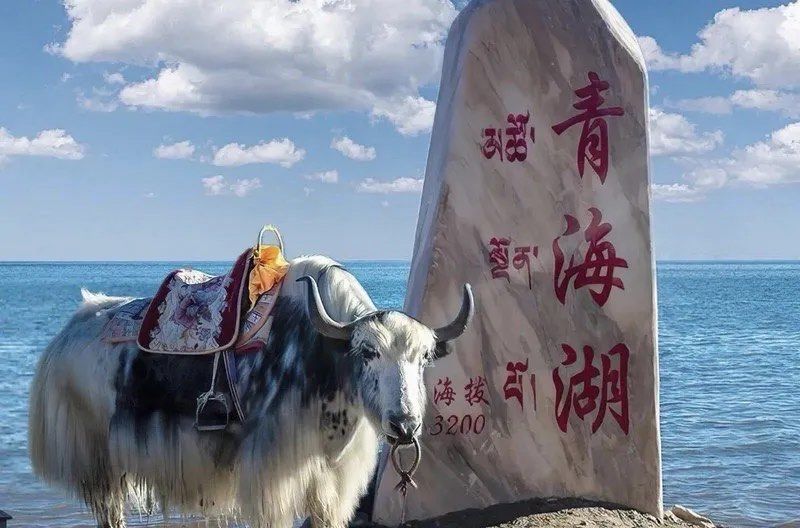 ‌作为青海湖的重要景区之一,‌二郎剑景区不仅拥有美丽的自然