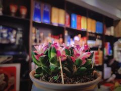 -阿巧一号私房菜(止园路店)