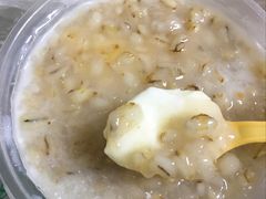 青稞酸奶-雪露酸奶