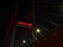 -武汉知音号