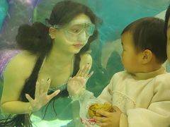 -苏州海洋馆