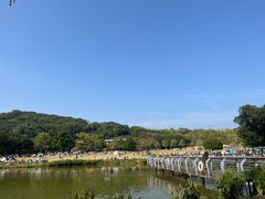-牛岗山公园