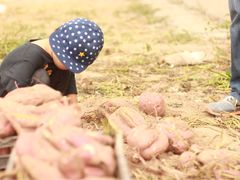 -万源龙顺度假庄园生态观光园