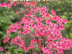 -上海辰山植物园