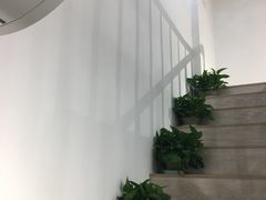 -风格style 专业烫染