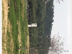 -艾米稻香小镇
