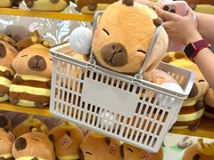 -万泰汇购物中心