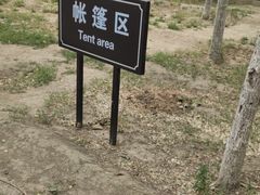 -西青郊野公园