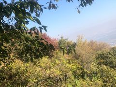 -香山公园-东宫门售票处