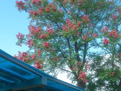 -白塘生态植物园