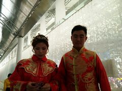 -百万葵园