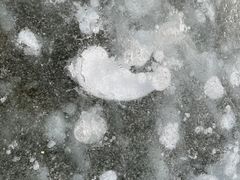-马家湾湿地公园