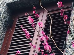 -思南公馆
