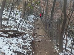 -紫金山山顶公园