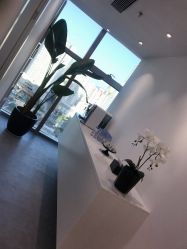 -芙芬芳·半永久纹眉（深圳旗舰店）