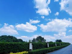 -树山生态村