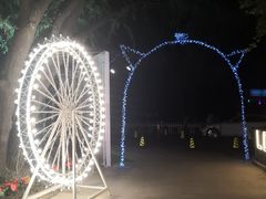 -枫花园汽车电影院(朝阳公园店)
