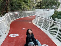 -金鸡山公园