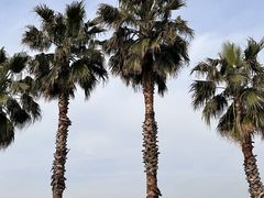 -晓琦农家菜馆·地道农家菜