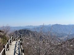 -大岭沟猕猴桃谷风景区