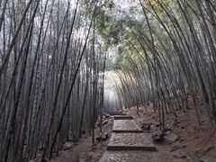 -穹窿山景区