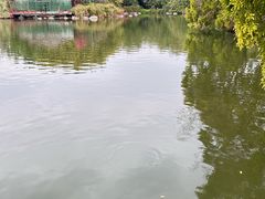 -海珠湖公园