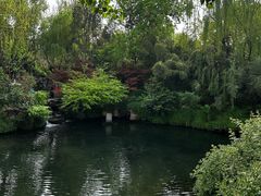 -趵突泉景区