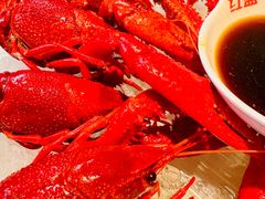 -红盔甲·小龙虾(天钥桥店)