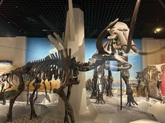 -国家自然博物馆