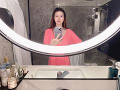 -新加坡乌节希尔顿酒店 (SG Clean)