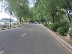 -丁香湖公园